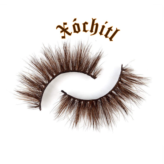 Xóchitl 🤎